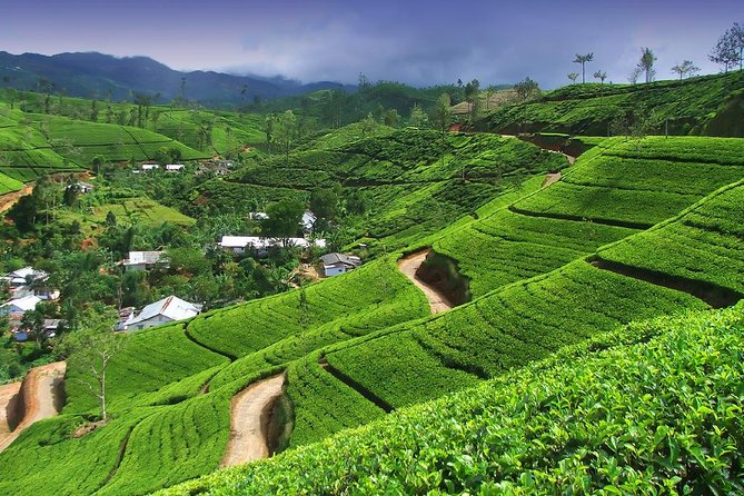 Nuwara Eliya - Tea country hill station with British colonial architecture